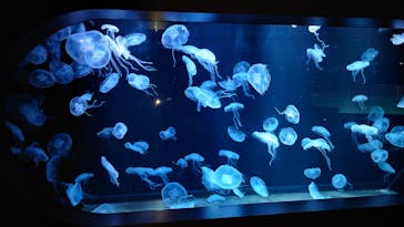 AOAO SAPPOROに投稿された画像（2023/12/18）