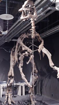 AOAO SAPPOROに投稿された画像（2023/12/18）