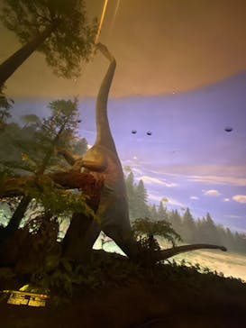 福井県立恐竜博物館に投稿された画像（2023/12/18）