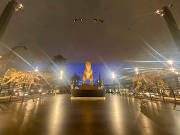 福井県立恐竜博物館に投稿された画像（2023/12/18）