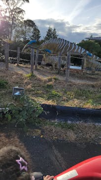 伊豆ぐらんぱる公園に投稿された画像（2023/12/18）