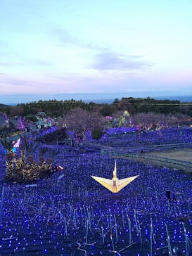 伊豆ぐらんぱる公園に投稿された画像（2023/12/18）