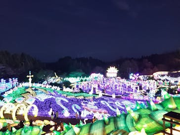 伊豆ぐらんぱる公園に投稿された画像（2023/12/18）