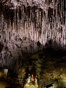 おきなわワールドに投稿された画像（2023/12/18）