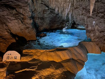 おきなわワールドに投稿された画像（2023/12/18）