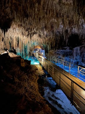 おきなわワールドに投稿された画像（2023/12/18）