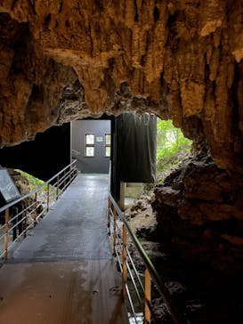 おきなわワールドに投稿された画像（2023/12/18）