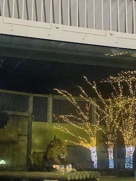 東武動物公園に投稿された画像（2023/12/18）