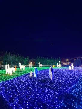 東武動物公園に投稿された画像（2023/12/18）