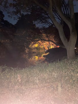 六義園に投稿された画像（2023/12/18）