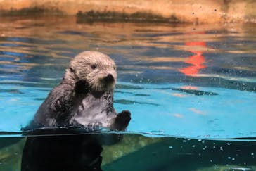 マリンワールド海の中道に投稿された画像（2023/12/18）