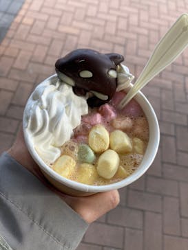 鴨川シーワールドに投稿された画像（2023/12/18）