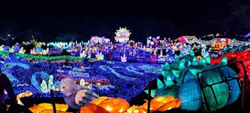 伊豆ぐらんぱる公園に投稿された画像（2023/12/18）