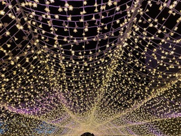 東京メガイルミに投稿された画像（2023/12/18）