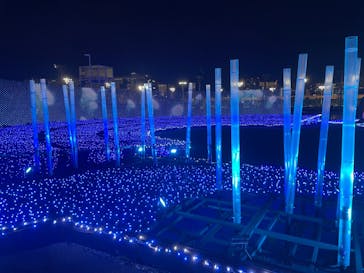 東京メガイルミに投稿された画像（2023/12/18）