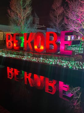 神戸イルミナージュに投稿された画像（2023/12/18）