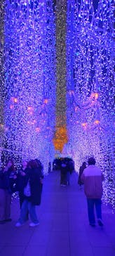 江の島シーキャンドルに投稿された画像（2023/12/18）