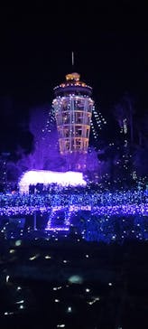 江の島シーキャンドルに投稿された画像（2023/12/18）