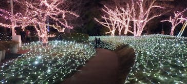 江の島シーキャンドルに投稿された画像（2023/12/18）