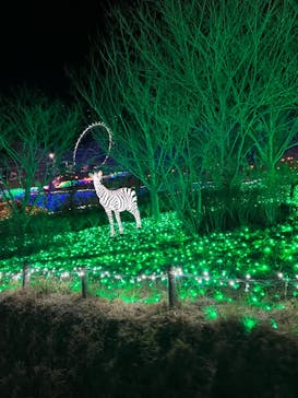 さがみ湖MORI MORIに投稿された画像（2023/12/19）