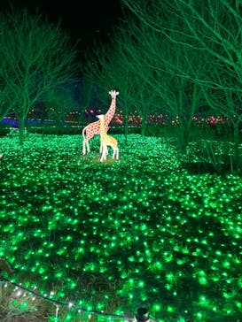 さがみ湖MORI MORIに投稿された画像（2023/12/19）