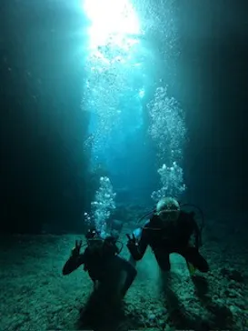 武藤潜水に投稿された画像（2023/12/19）