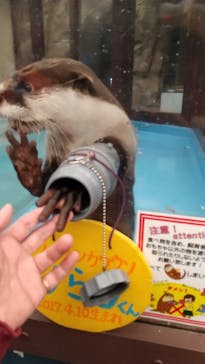 ゼロ距離水族館 伊勢シーパラダイスに投稿された画像（2023/12/19）