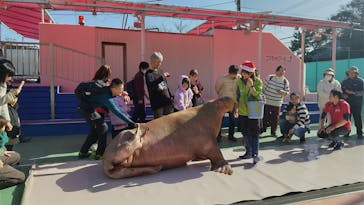 ゼロ距離水族館 伊勢シーパラダイスに投稿された画像（2023/12/19）