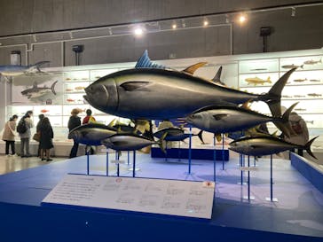 特別展「和食 ～日本の自然、人々の知恵～」に投稿された画像（2023/12/19）