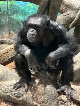 よこはま動物園ズーラシアに投稿された画像（2023/12/19）