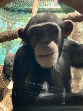 よこはま動物園ズーラシアに投稿された画像（2023/12/19）