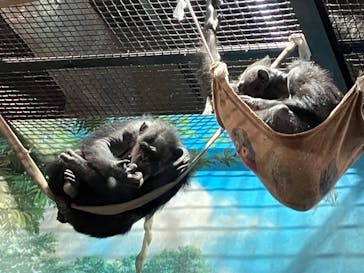 よこはま動物園ズーラシアに投稿された画像（2023/12/19）