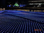東京メガイルミに投稿された画像（2023/12/19）