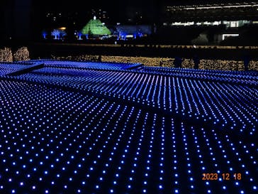 東京メガイルミに投稿された画像（2023/12/19）