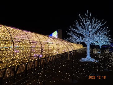 東京メガイルミに投稿された画像（2023/12/19）