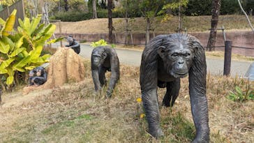 名古屋市東山動植物園に投稿された画像（2023/12/19）