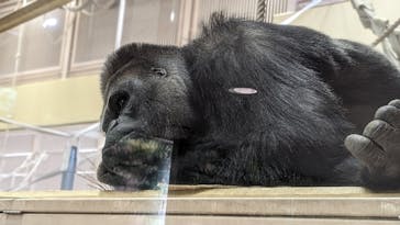 名古屋市東山動植物園に投稿された画像（2023/12/19）