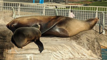 名古屋市東山動植物園に投稿された画像（2023/12/19）