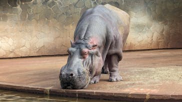 名古屋市東山動植物園に投稿された画像（2023/12/19）