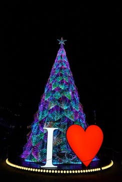 みろくの里に投稿された画像（2023/12/19）