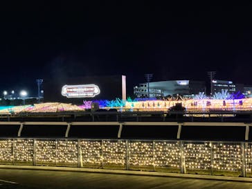 東京メガイルミに投稿された画像（2023/12/19）