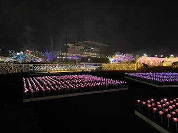 東京メガイルミに投稿された画像（2023/12/19）