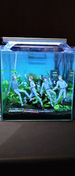 カワスイ 川崎⽔族館に投稿された画像（2023/12/19）