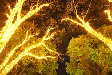 みろくの里に投稿された画像（2023/12/19）