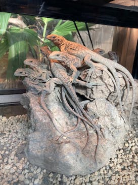 体感型動物園iZooに投稿された画像（2023/12/19）