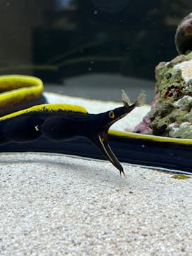 AOAO SAPPOROに投稿された画像（2023/12/19）