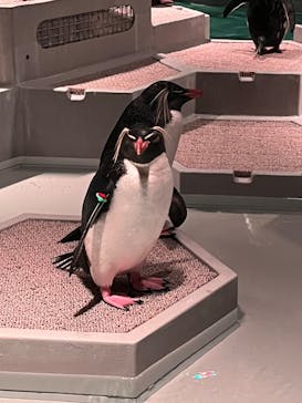 AOAO SAPPOROに投稿された画像（2023/12/19）