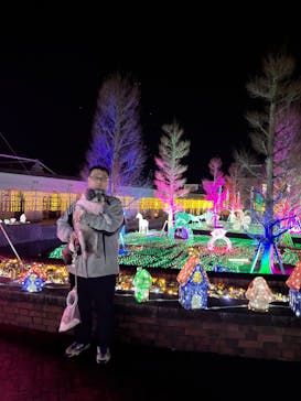 神戸イルミナージュに投稿された画像（2023/12/19）