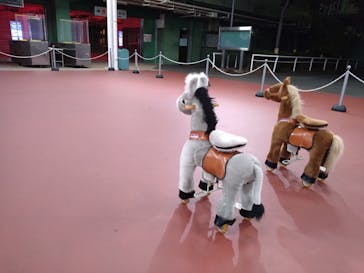 東京メガイルミに投稿された画像（2023/12/19）