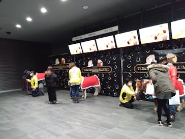 東京メガイルミに投稿された画像（2023/12/19）